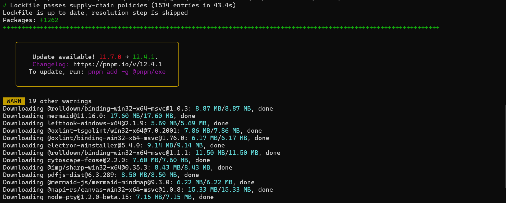 pnpm install 下载依赖